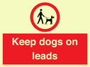 dogs-on-lead-symbol-with-black-text-on-white-background~